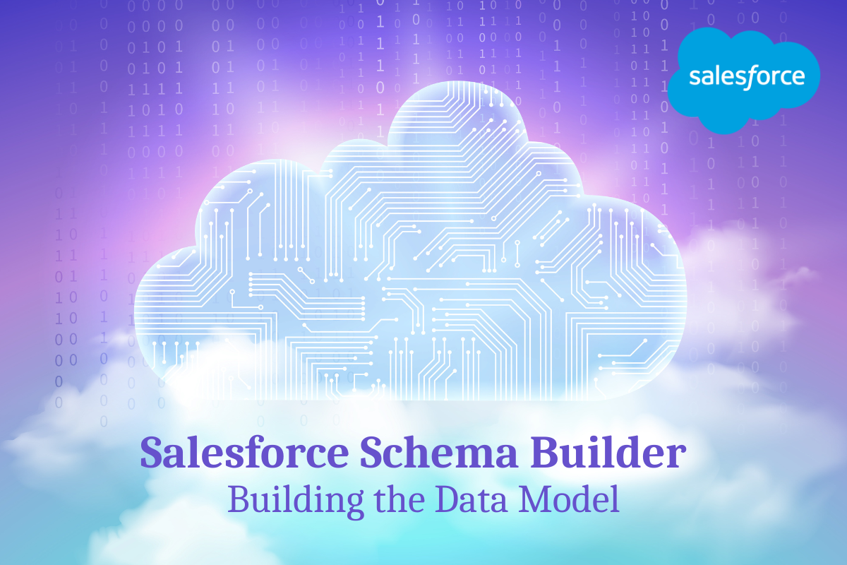 Salesforce Schema Builder